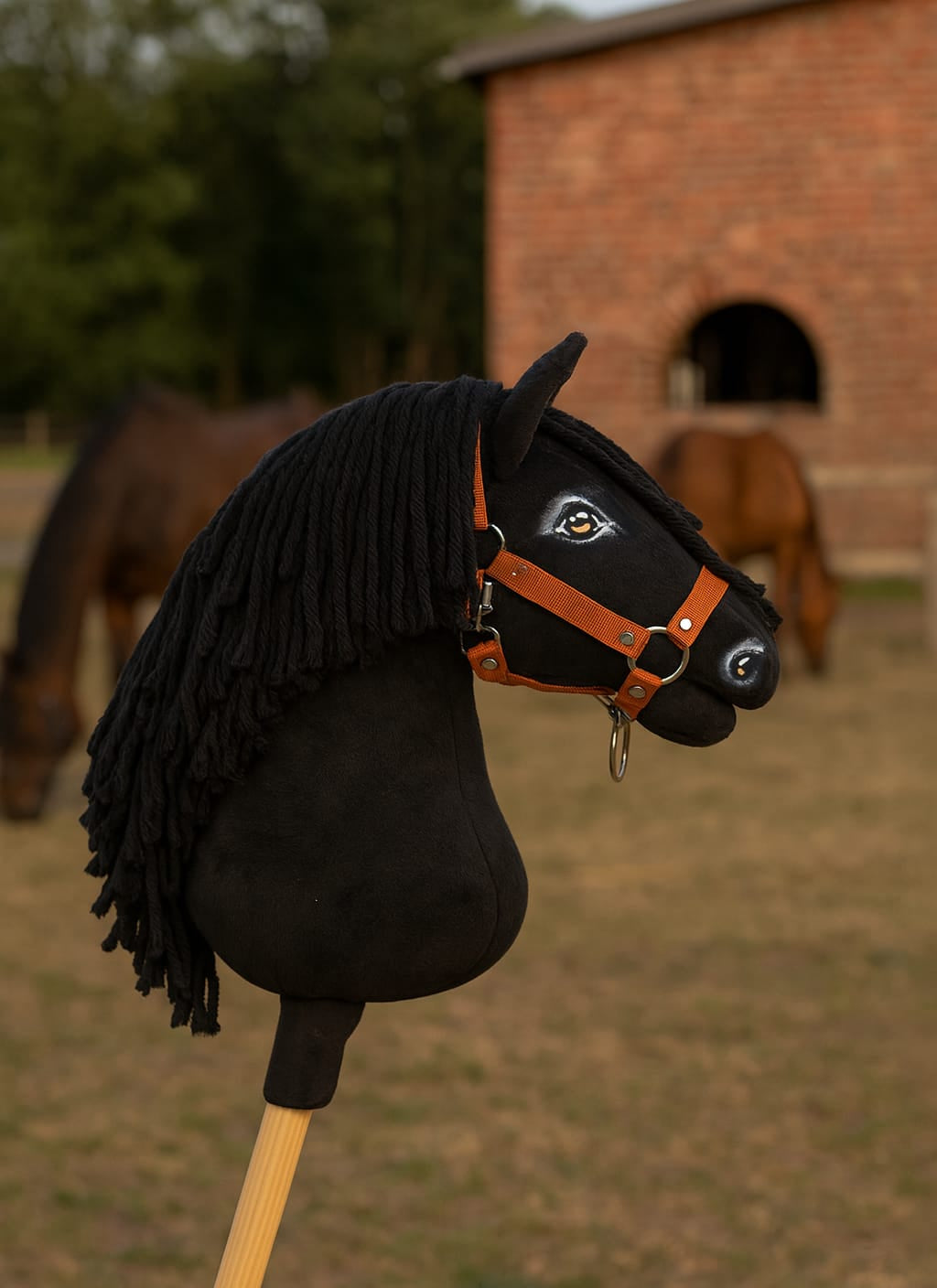 Horse on a stick Super Hobby Horse Premium - black horse A3