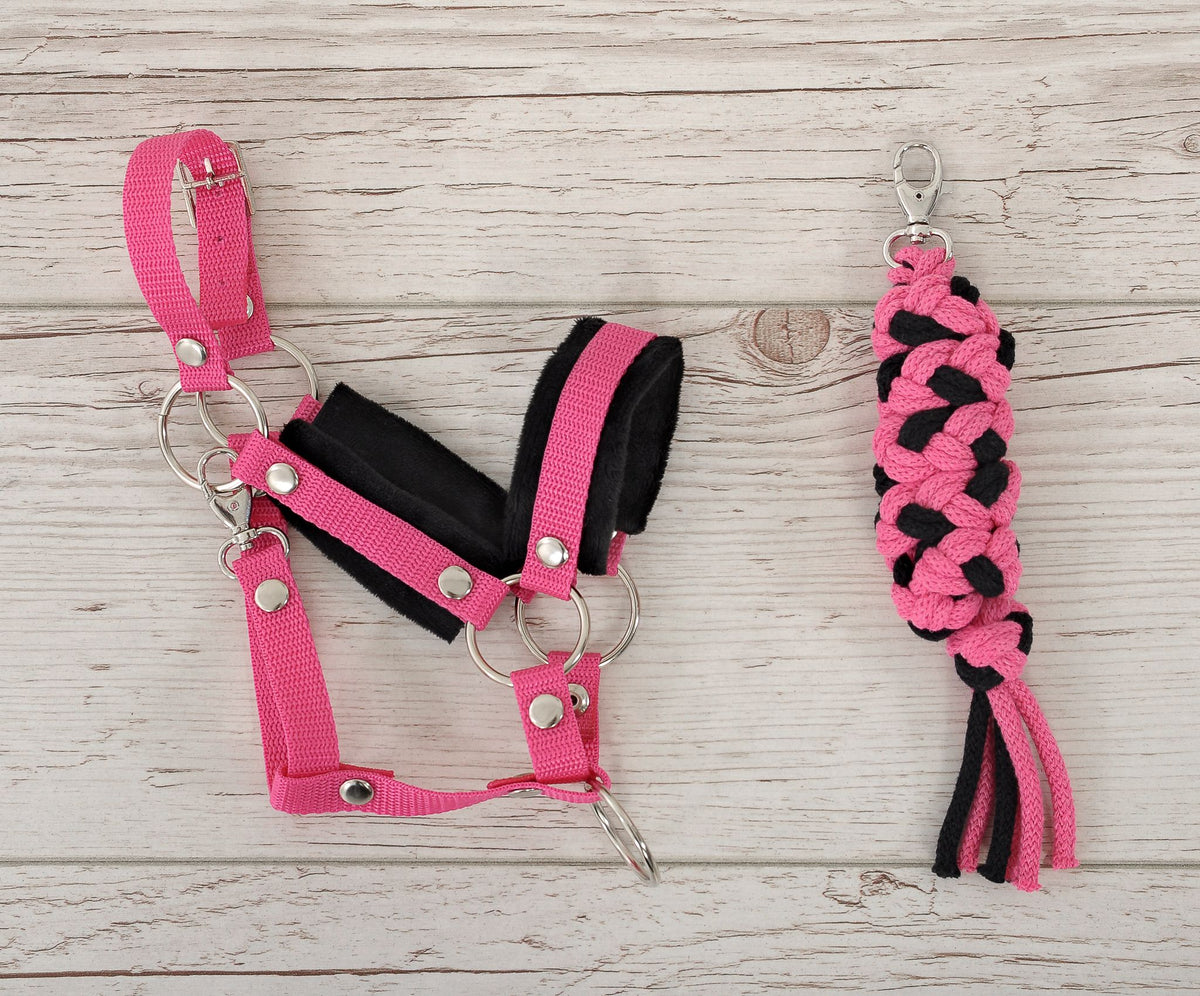 Set for Hobby Horse: the halter A3 with black furry + Tether made of cord - black-dark pink