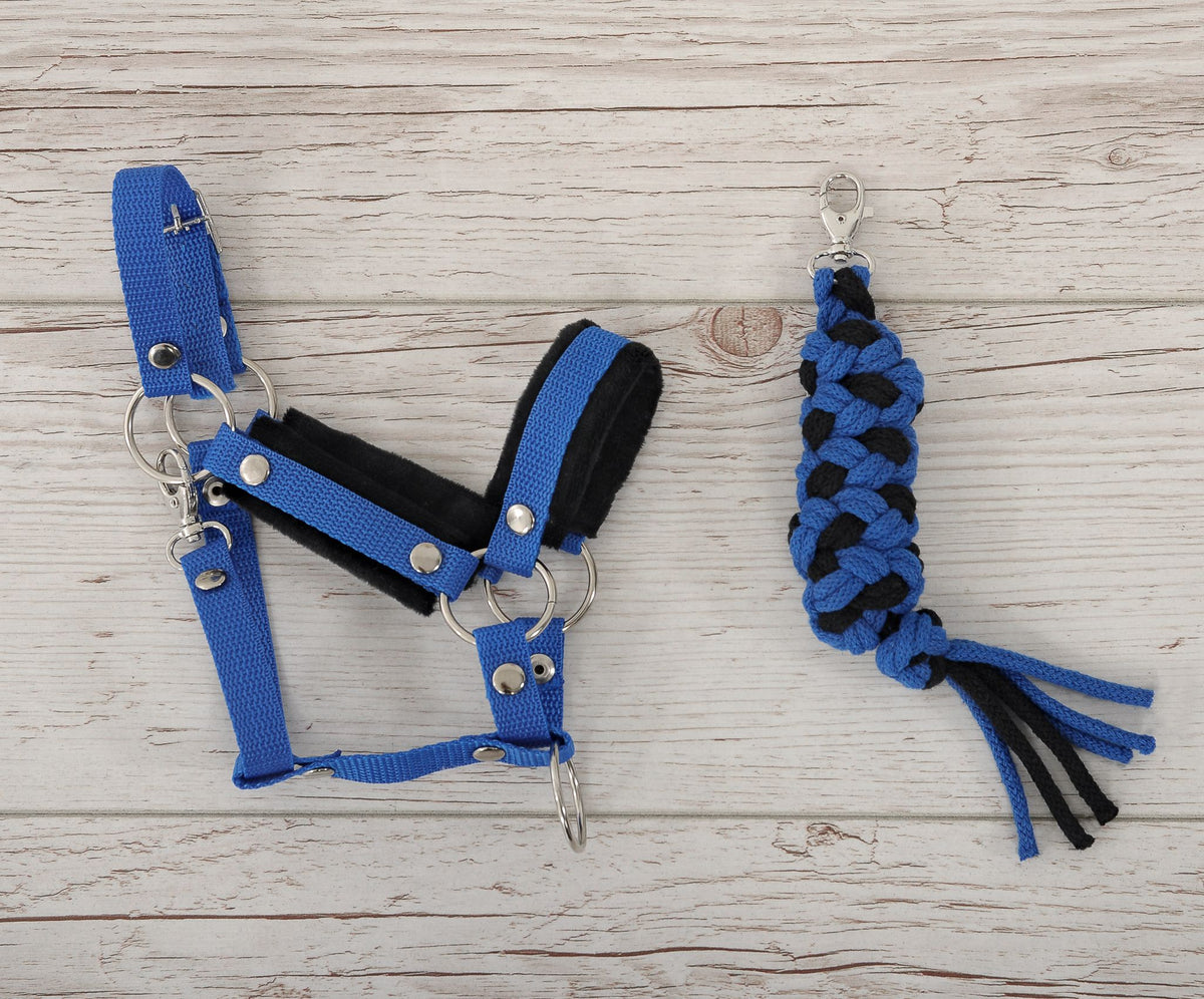 Set for Hobby Horse: the halter A3 with black furry + Tether made of cord - black-blue