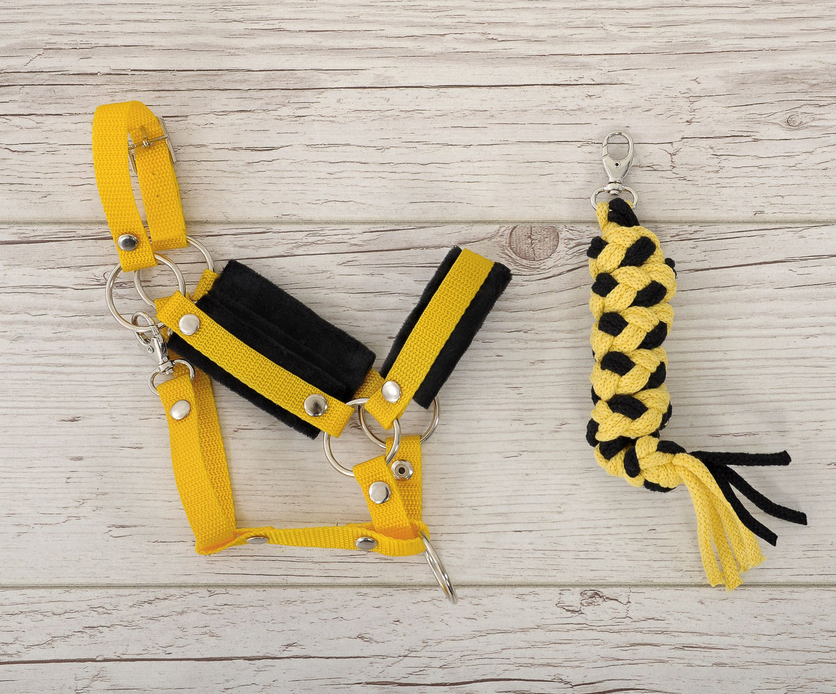 Set for Hobby Horse: the halter A3 with black furry + Tether made of cord - black-yellow