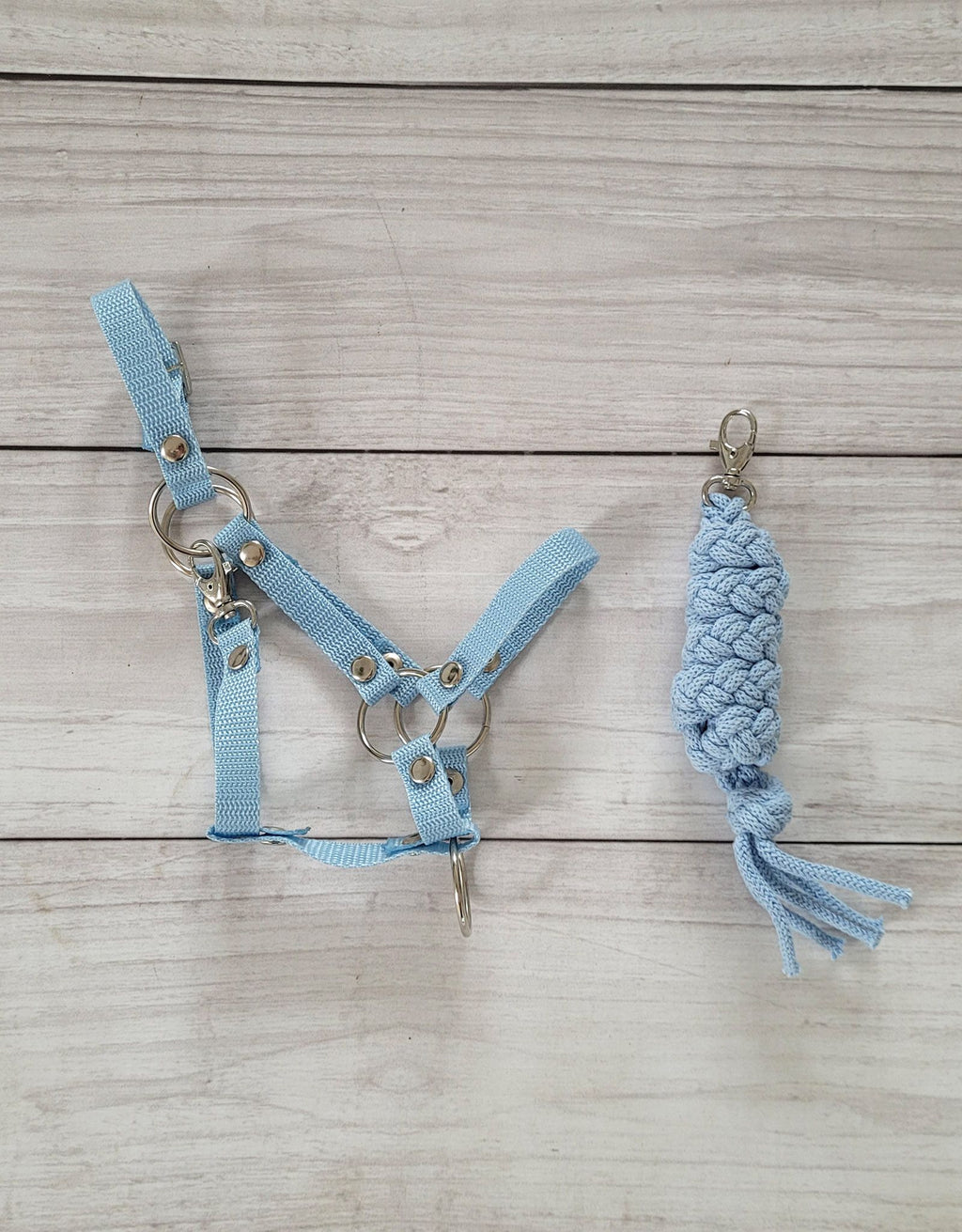 Set for Hobby Horse: the halter A3 + Tether made of cord - light blue