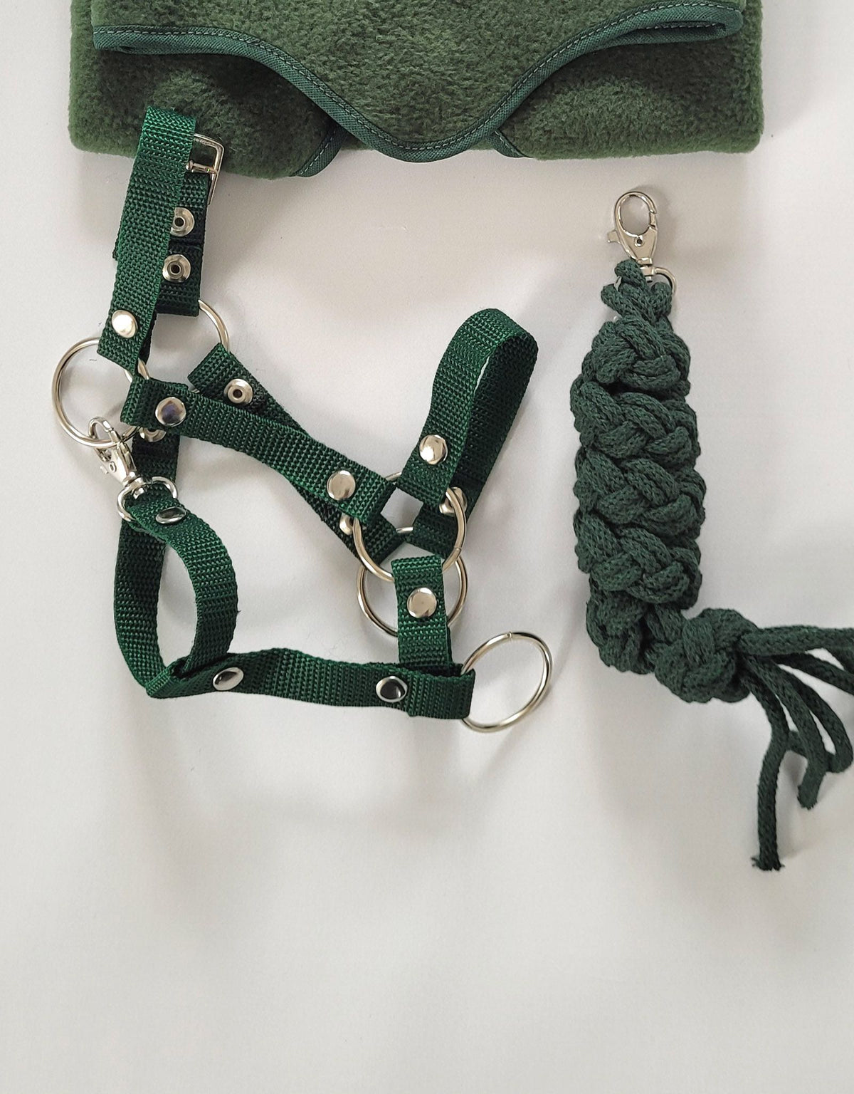Set for Hobby Horse: the halter A3 + Tether made of cord - bottle green