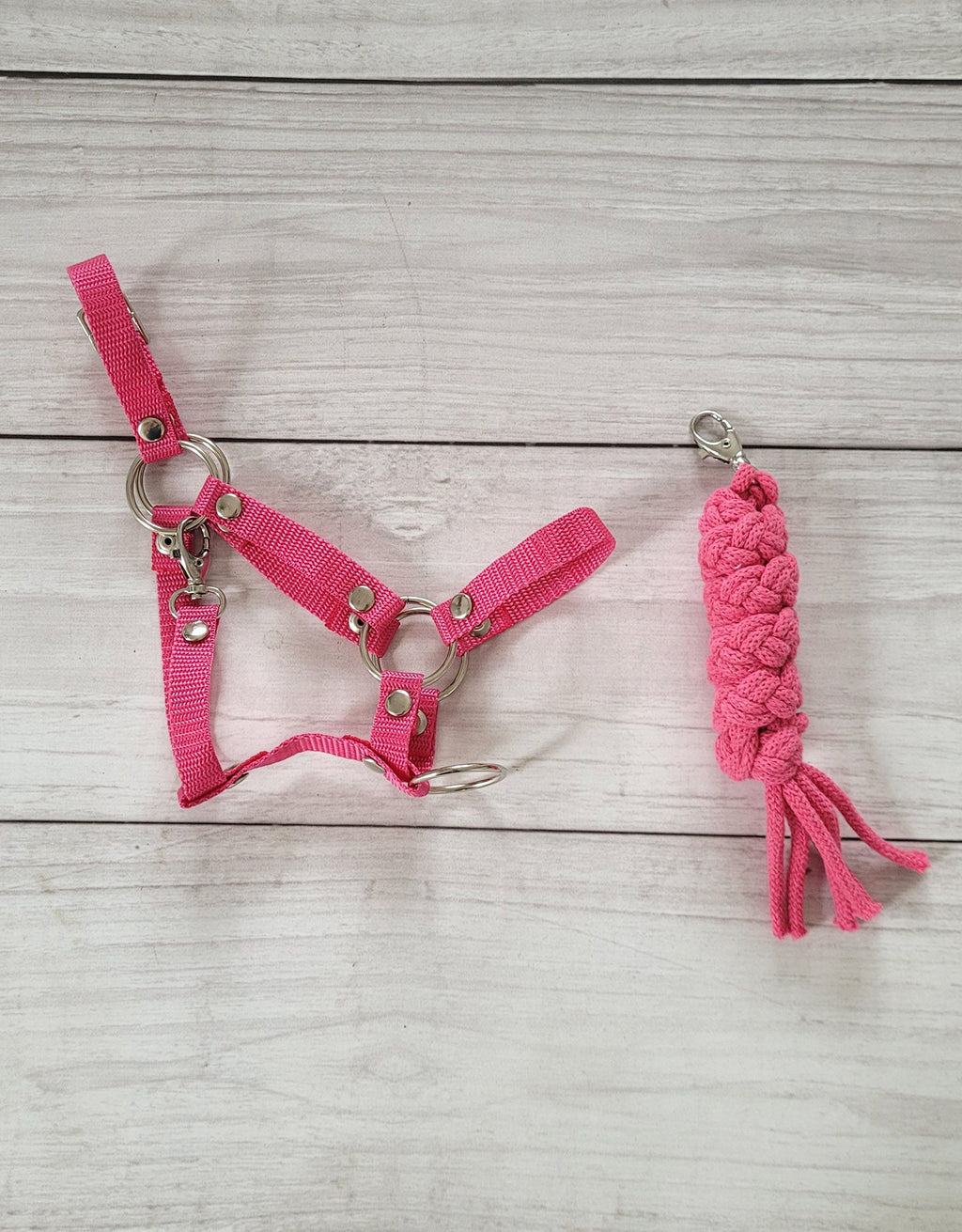 Set for Hobby Horse: the halter A3 + Tether made of cord - dark pink