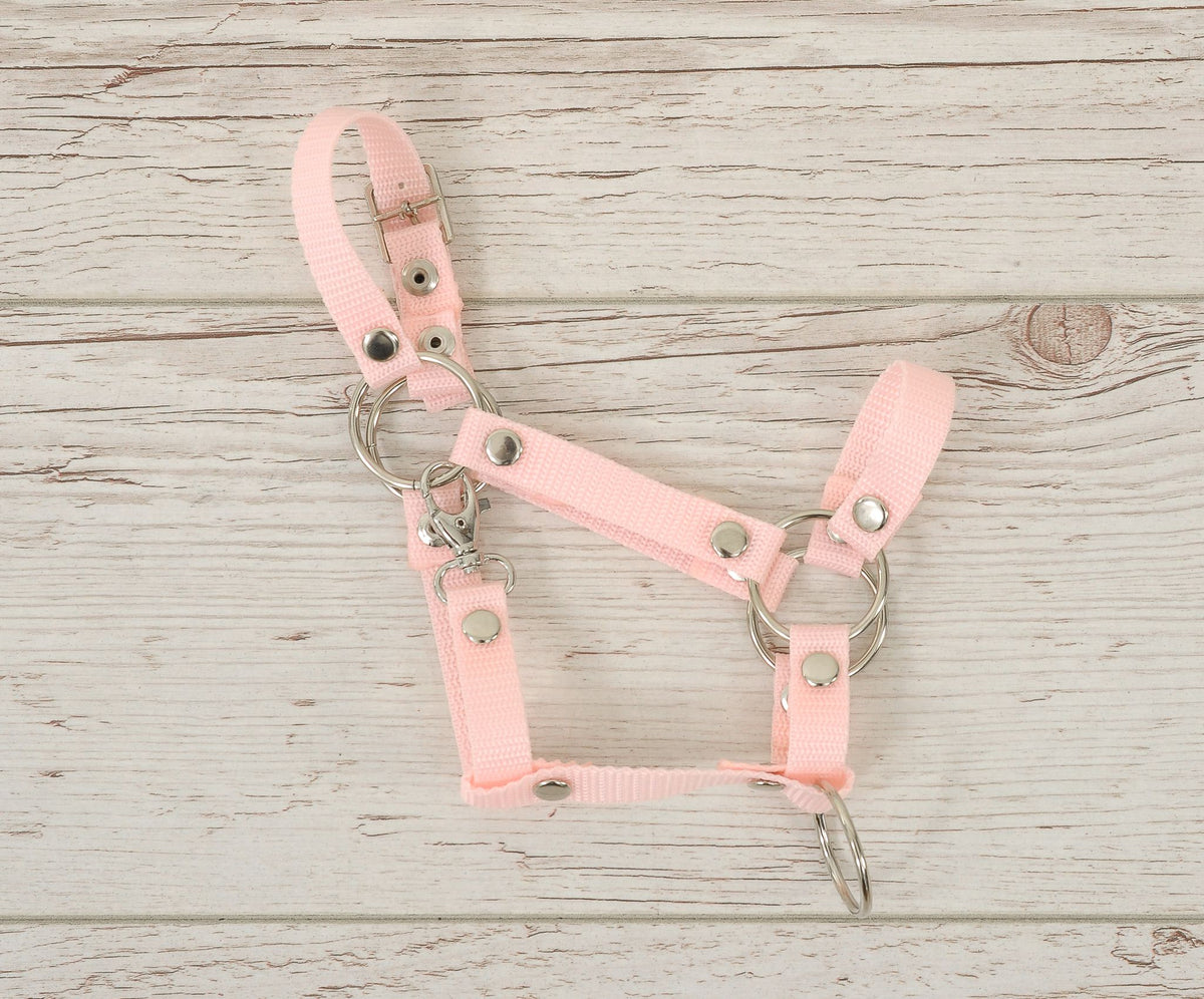Set for Hobby Horse: the halter A3 + Tether made of cord - powder pink