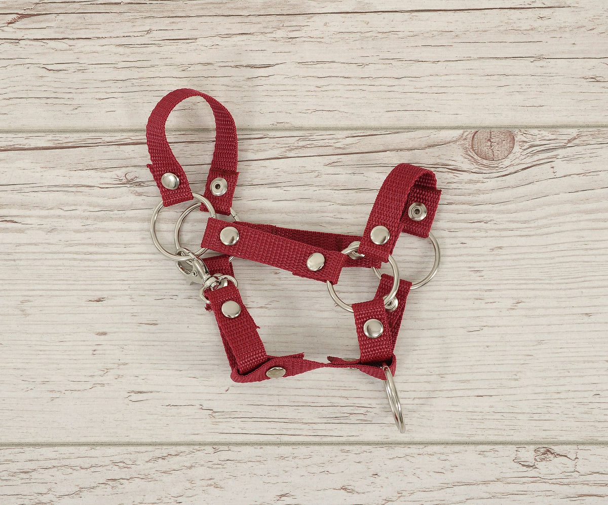 Set for Hobby Horse: the halter A3 + Tether made of cord - burgundy