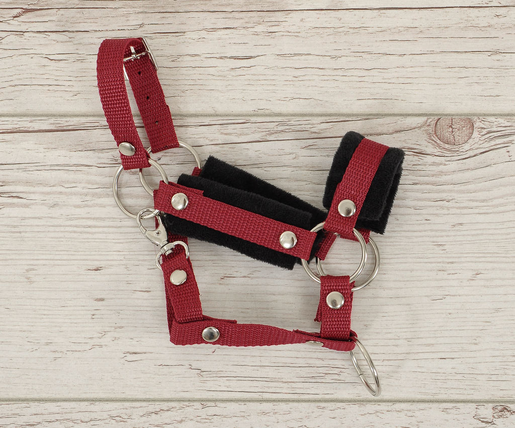 Set for Hobby Horse: the halter A3 with black furry + Tether made of cord - black-burgundy