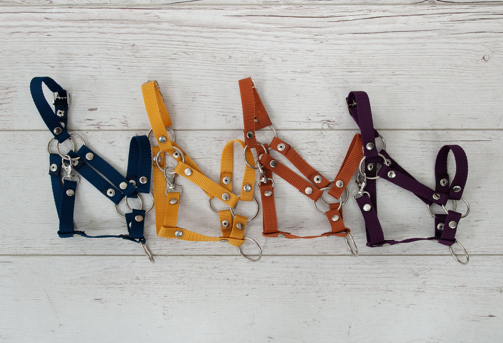 The adjustable halter for Hobby Horse A3 - plum