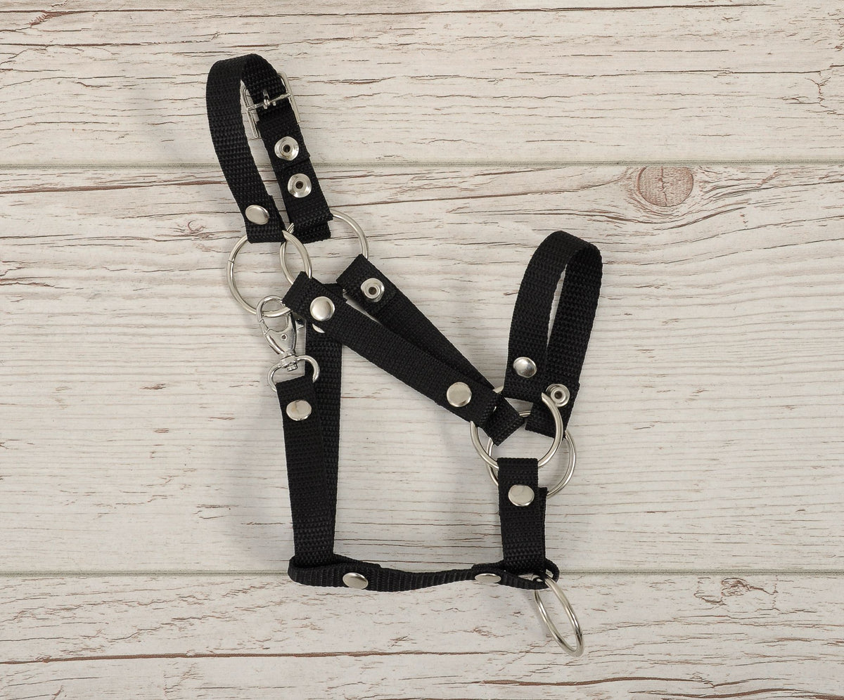 The adjustable halter for Hobby Horse A3 - black