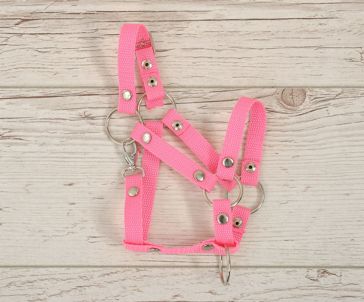 The adjustable halter for Hobby Horse A3 - pink