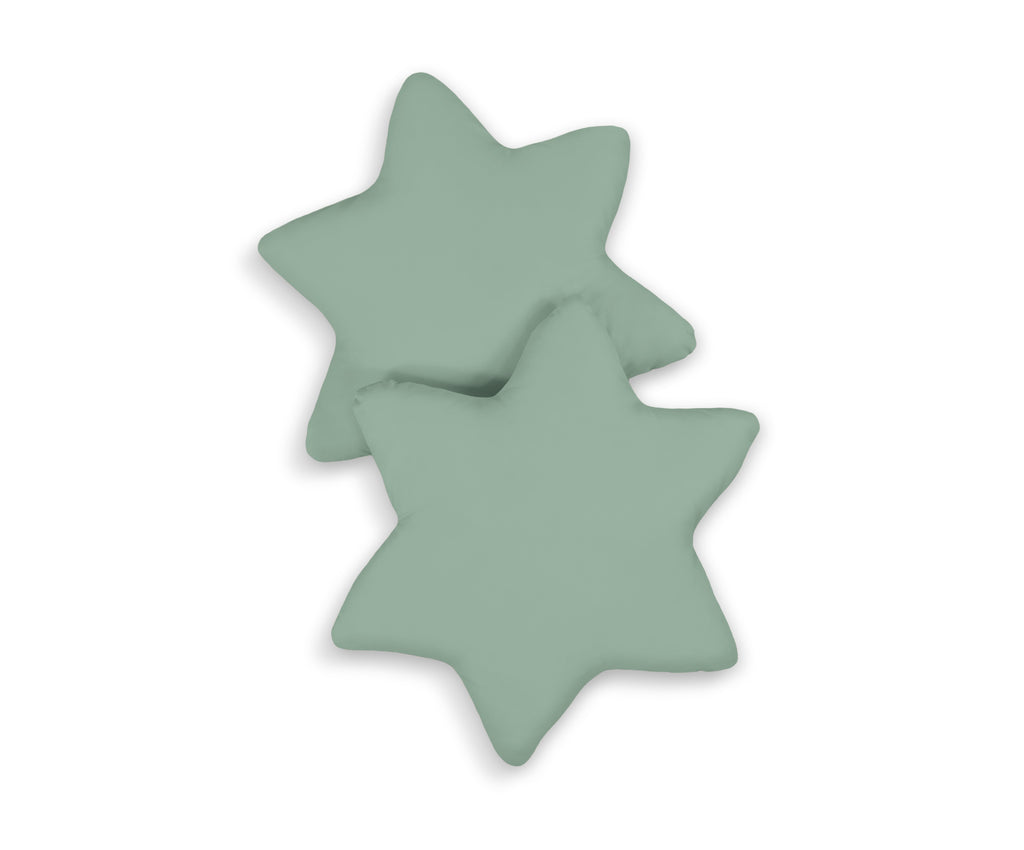2pcs pillow set - pastel green
